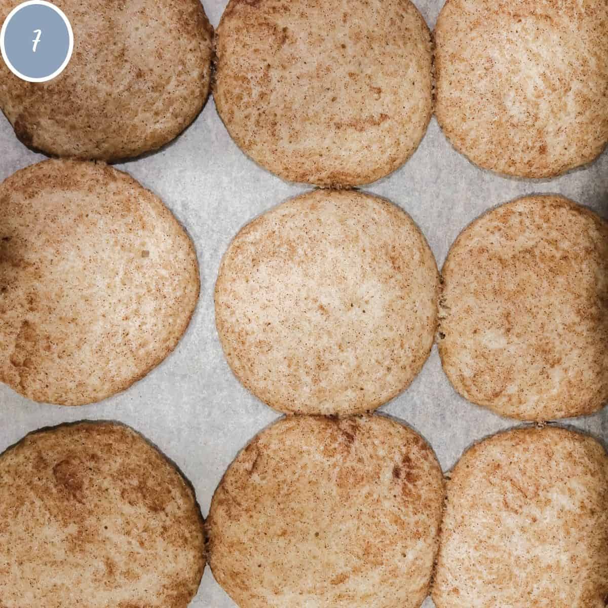 Overhead view of sourdough snickerdoodle cookies right out of the oven and on a cookie sheet.