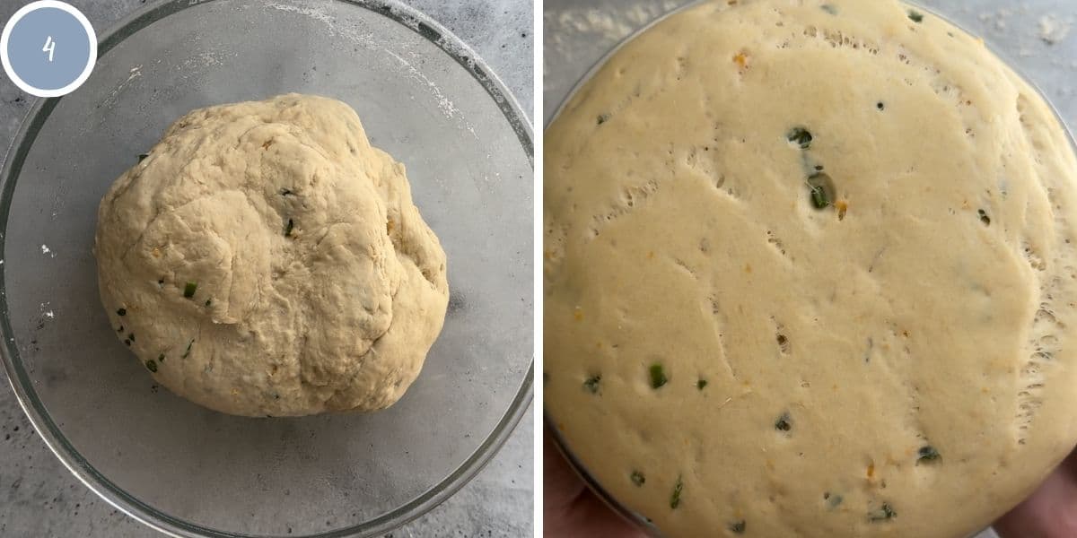 Bagel dough before and after rising.