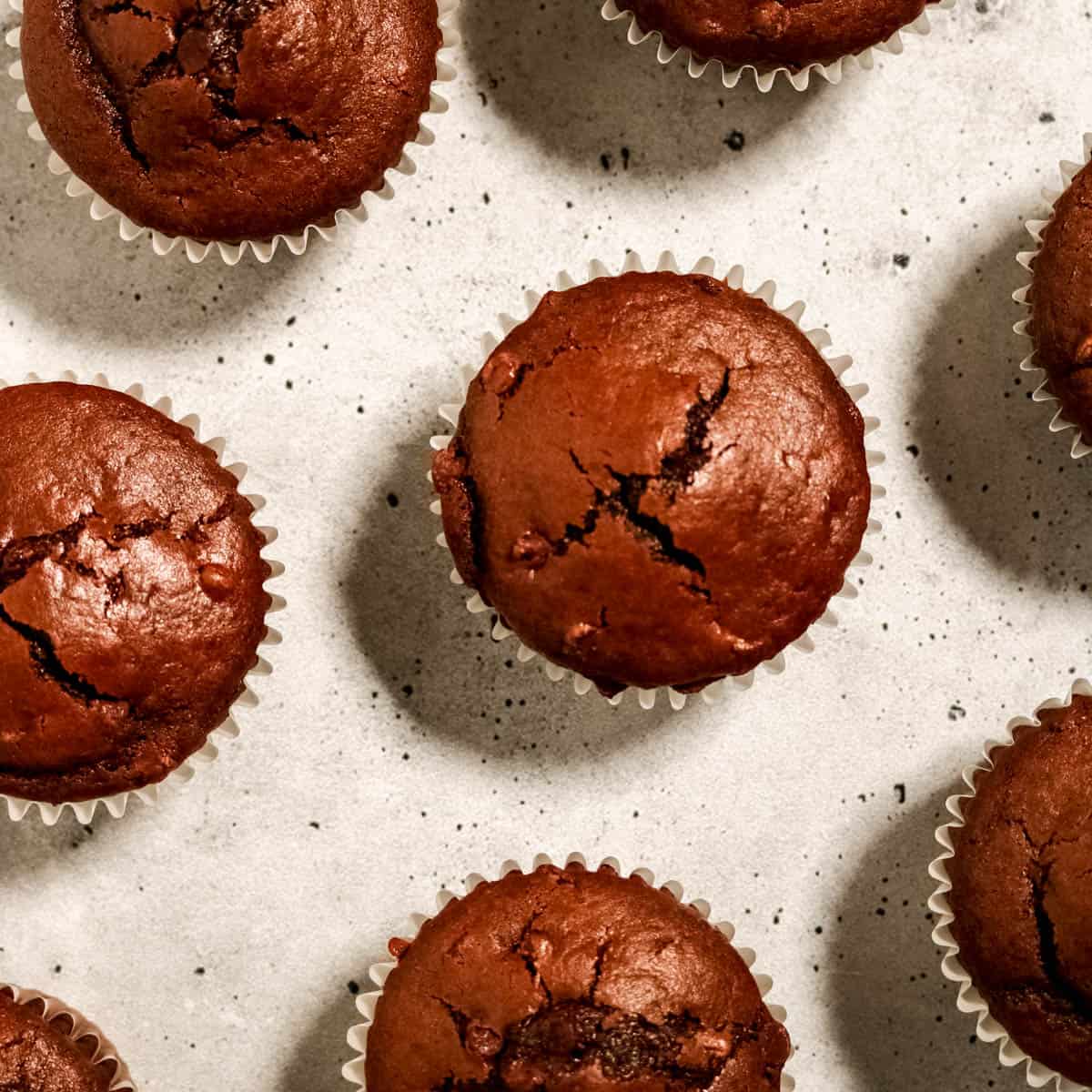 Overhead view of sourdough chocolate muffins.