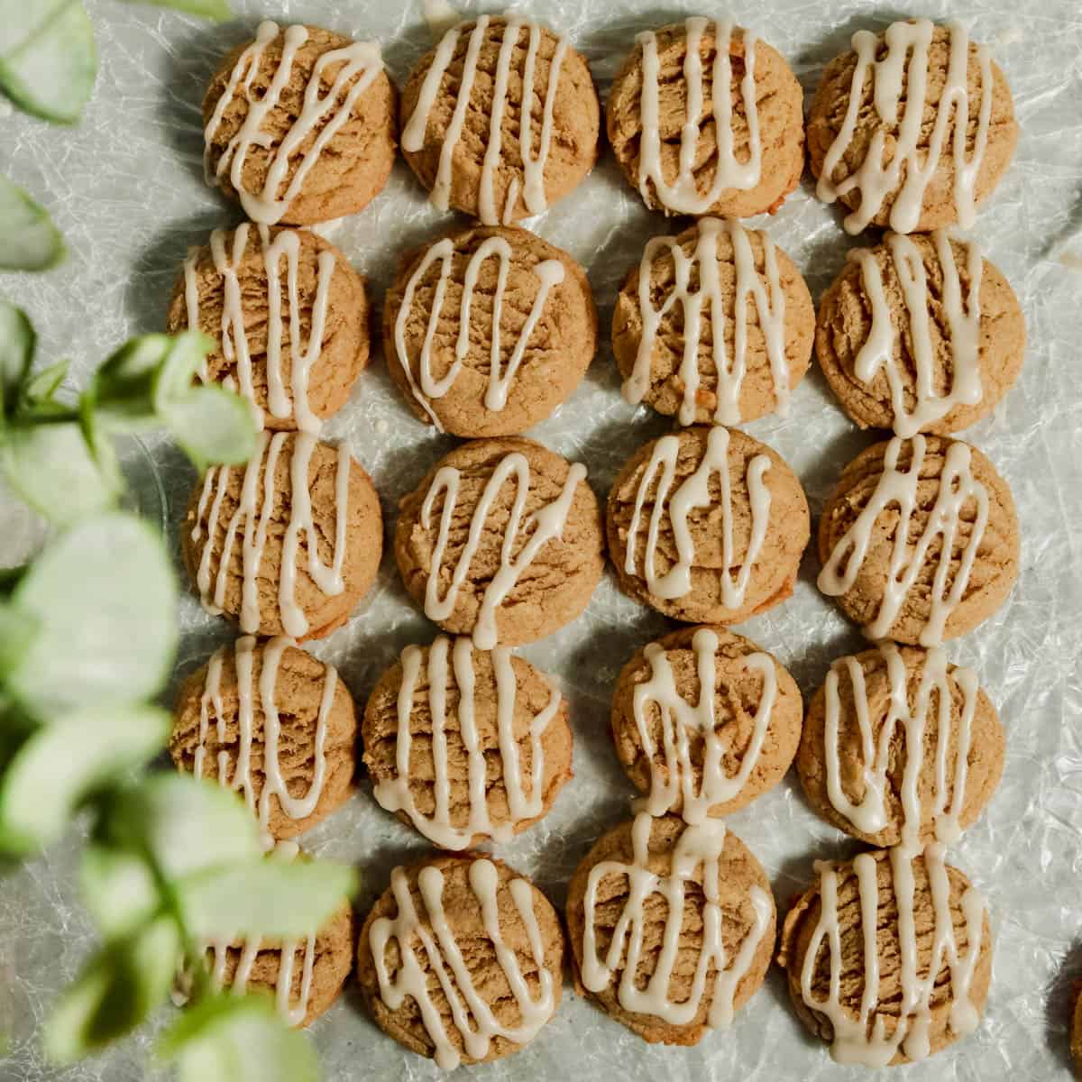 Overhead view of apple cider cookies.