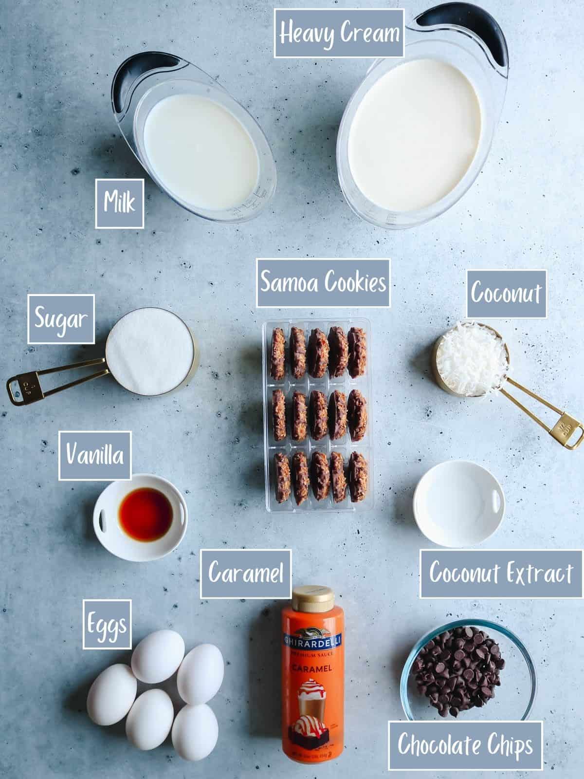 Labeled ingredients to make Samoa ice cream.